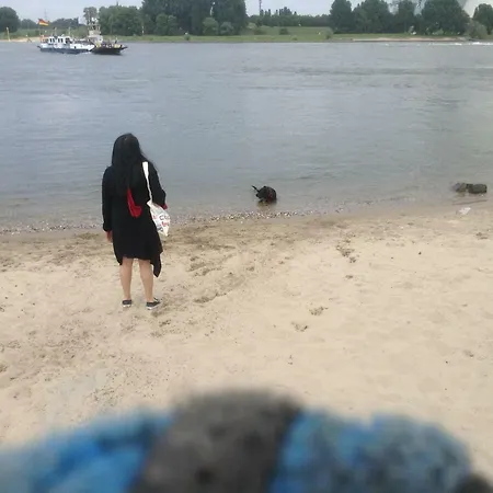 Gaestehaus Chateau D'orsay Rheinberg