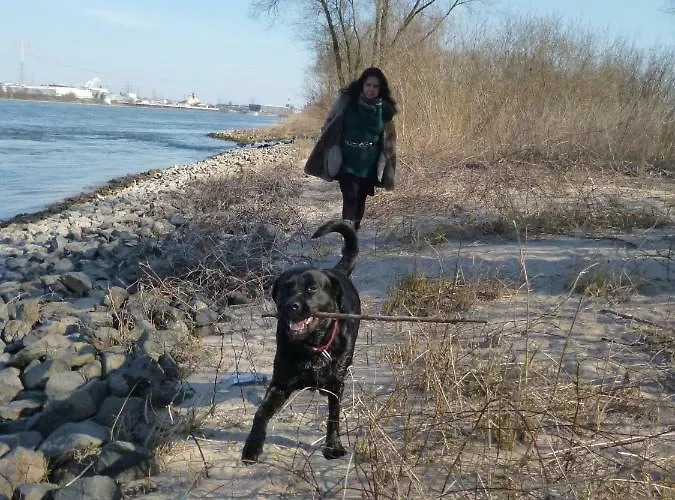 펜션 Gaestehaus Chateau D'orsay *