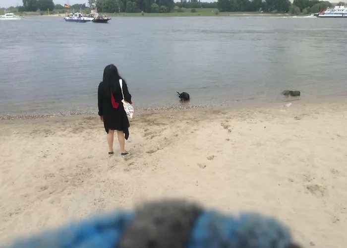 Gaestehaus Chateau D'orsay Rheinberg