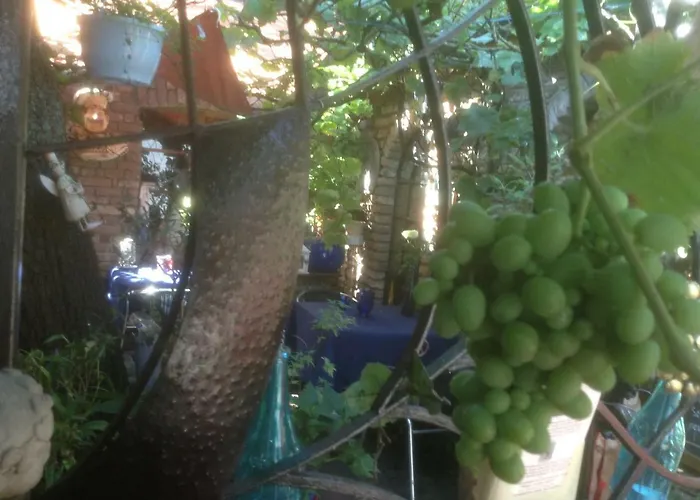 Gaestehaus Chateau D'orsay Дом отдыха